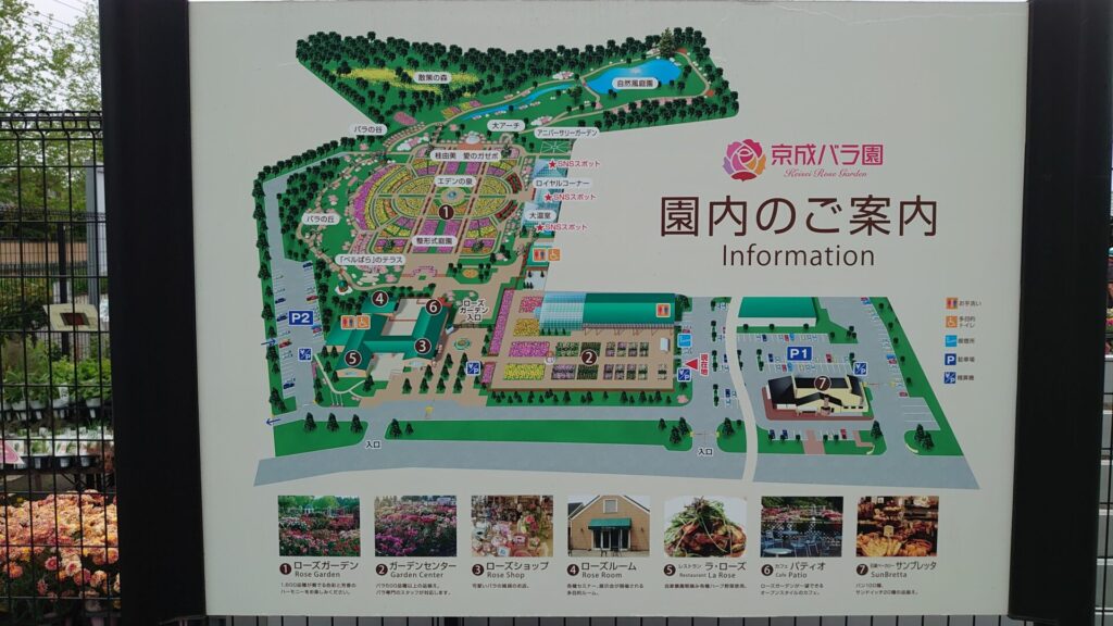 京成バラ園 園内地図