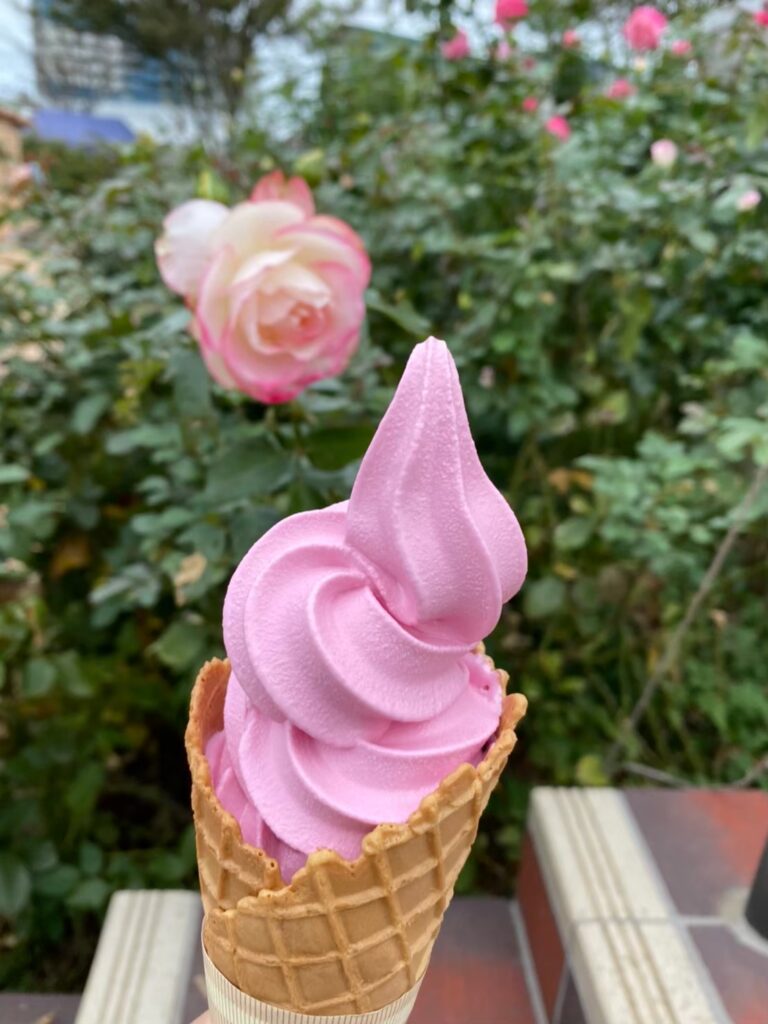 京成バラ園　バラのソフトクリーム