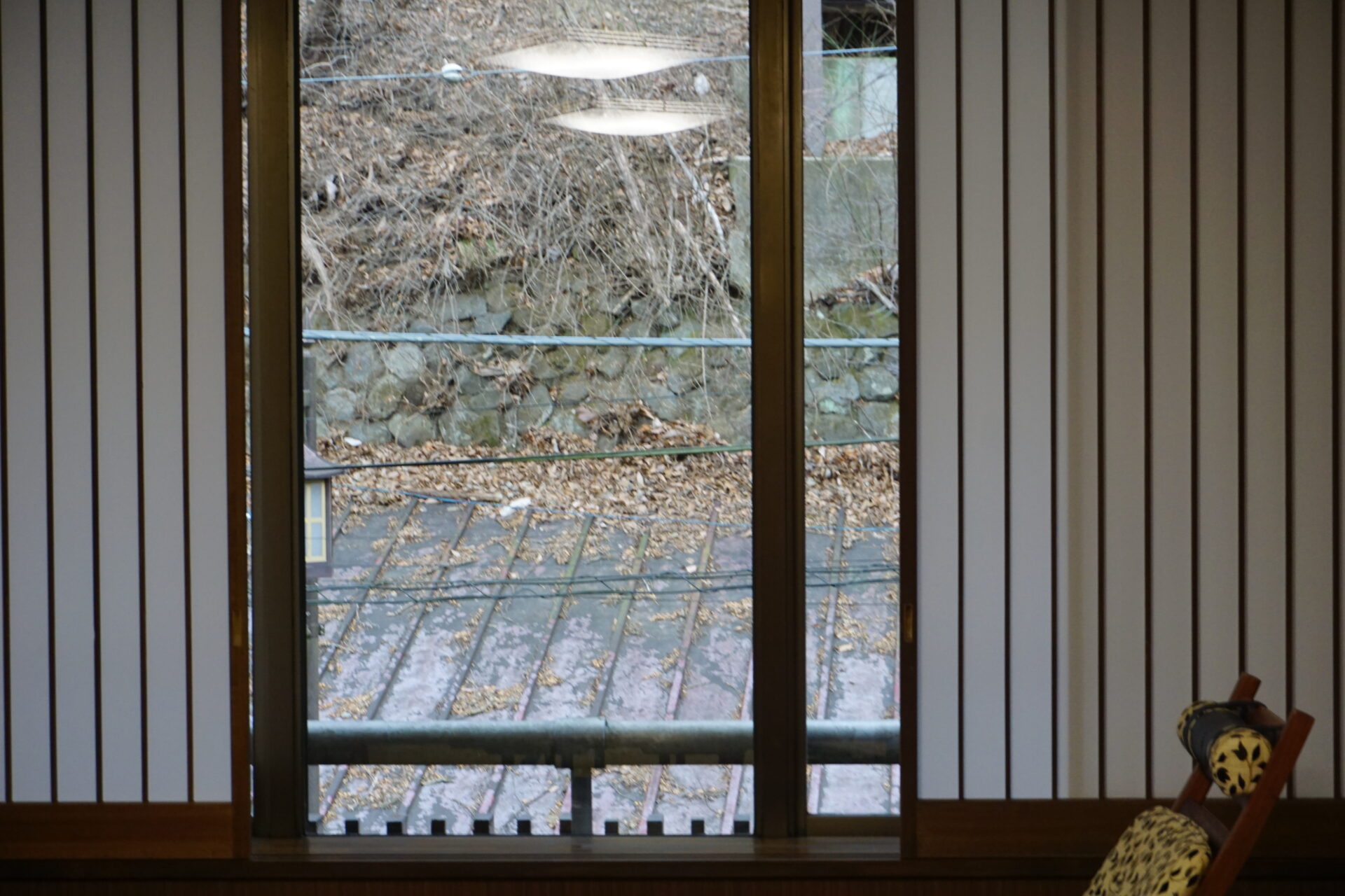 和室からの景色