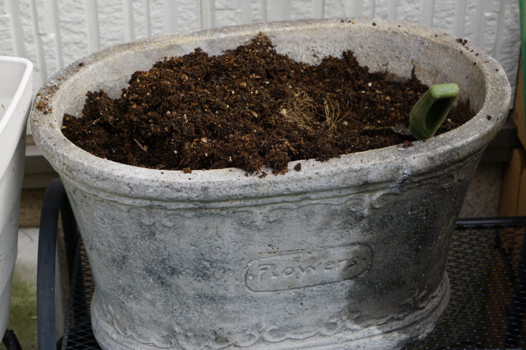 冬の寄せ植え　鉢