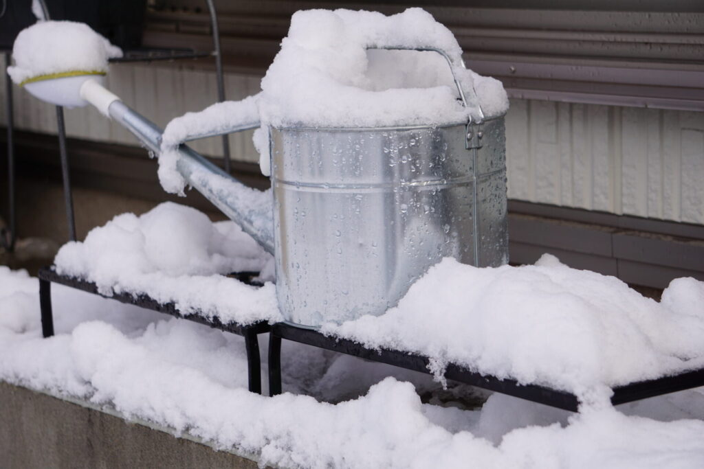 水やりの用のジョウロに雪が積もった様子