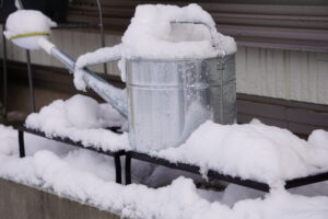 水やりの用のジョウロに雪が積もった様子