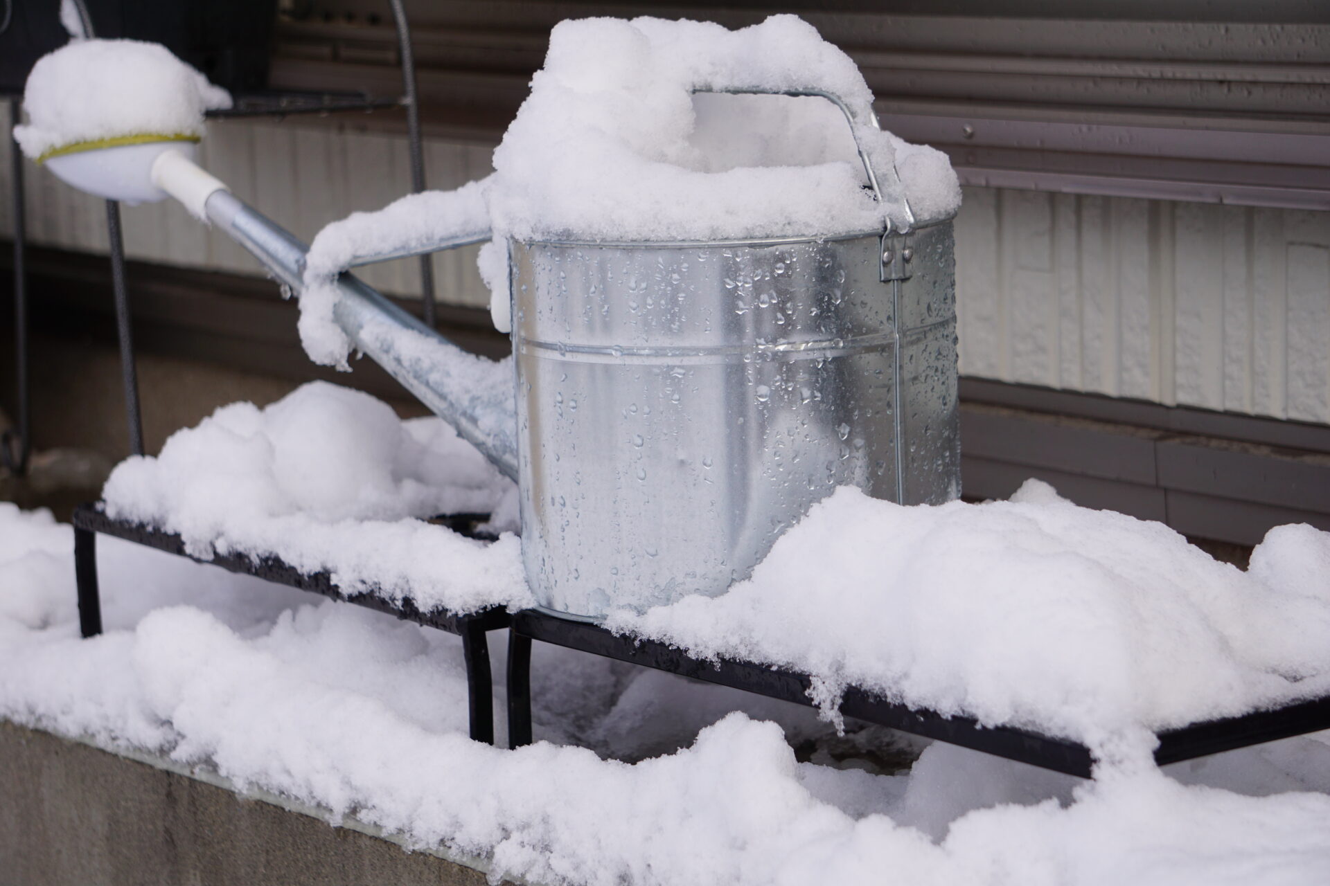 水やりの用のジョウロに雪が積もった様子