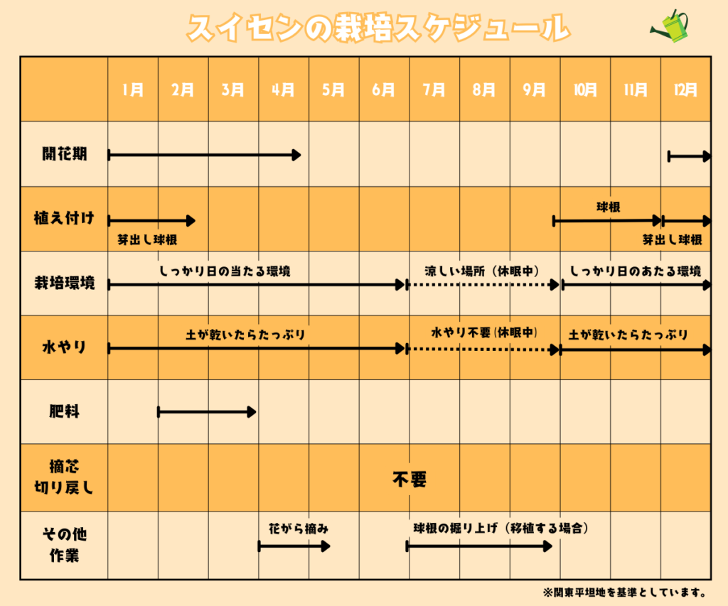 スイセンの育て方・栽培スケジュール一覧表