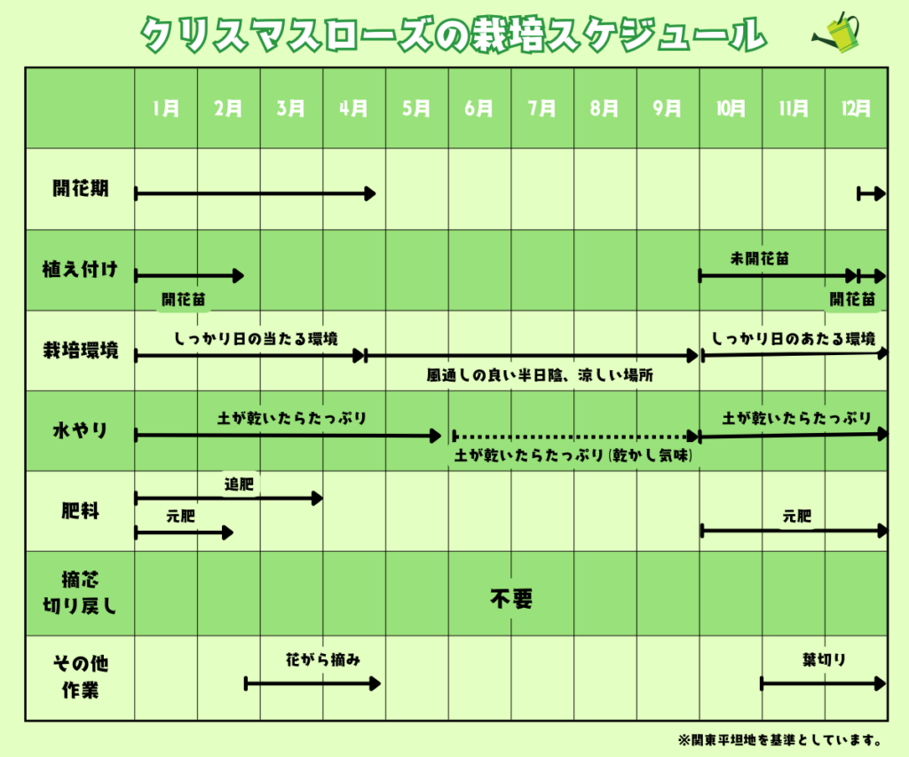 クリスマスローズの年間栽培スケジュール（植え付け、開花、水やり、肥料、葉切り）の一覧表